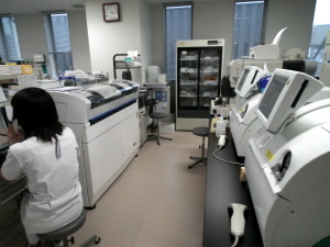 病理・細胞診検査の写真