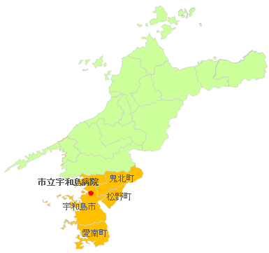 宇和島医療圏の地図
