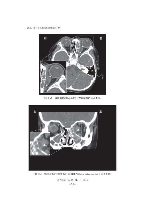 南予医学雑誌 第15巻 南予医学雑誌 第15巻