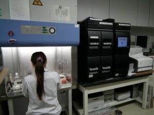 細菌検査の写真
